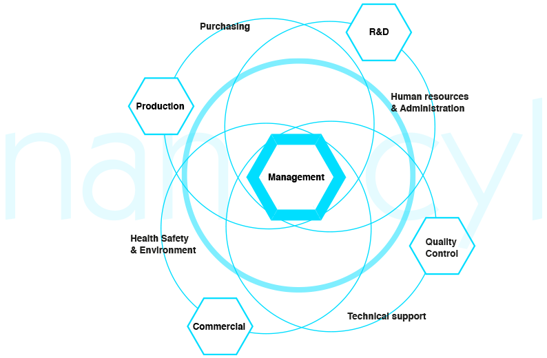 team-structure